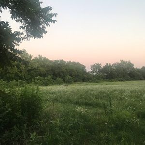 Meet your Posher, Reagan